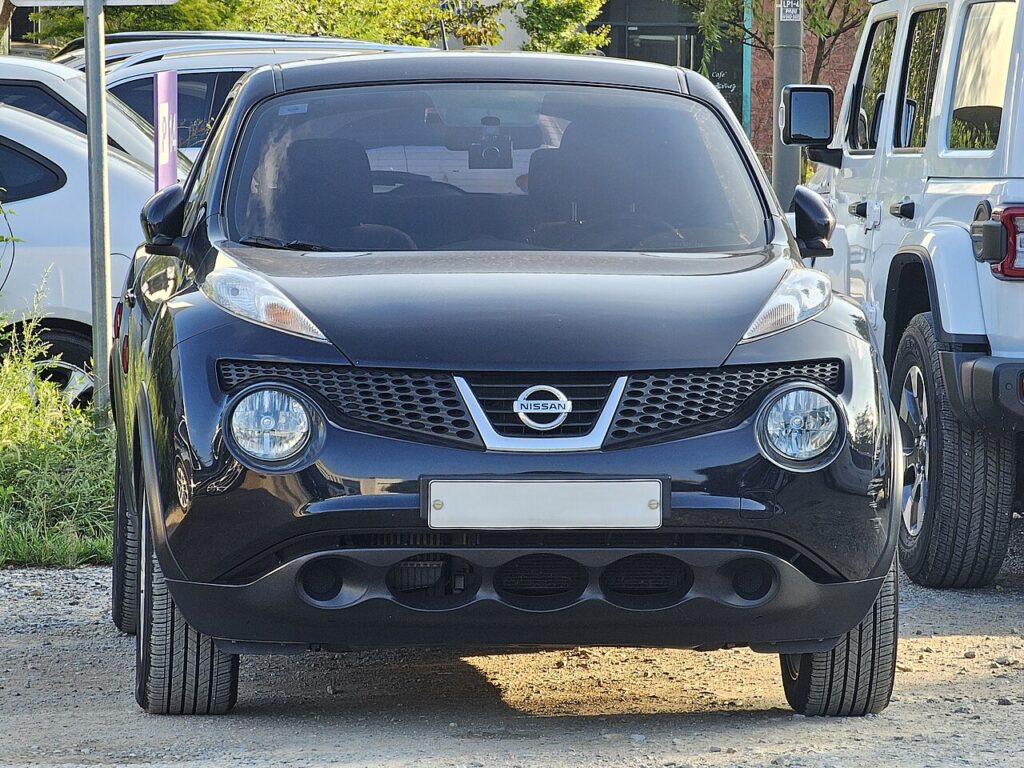 Nissan Juke Mk1 — the vehicle covered in this reset guide.